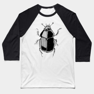 geotrupes stecorosus Baseball T-Shirt